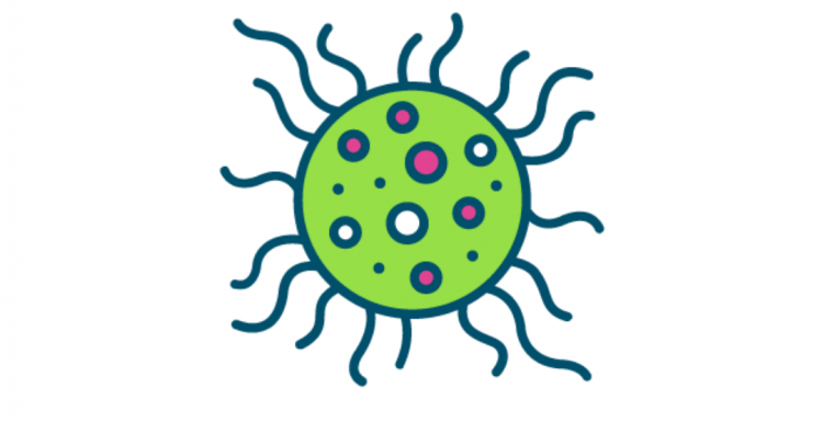 coronavirus icon