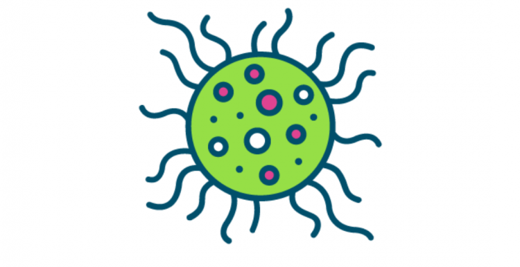 coronavirus icon 