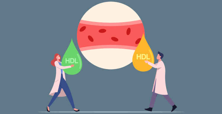 cholesterol