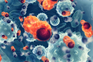 blood cancer