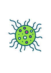 coronavirus icon 